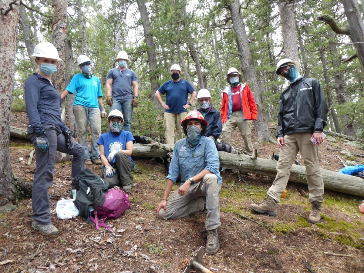 Group of volunteers with masks