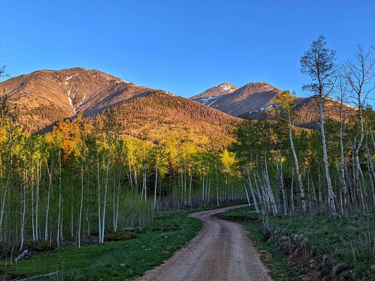 Road to Blanks Trailhead. 