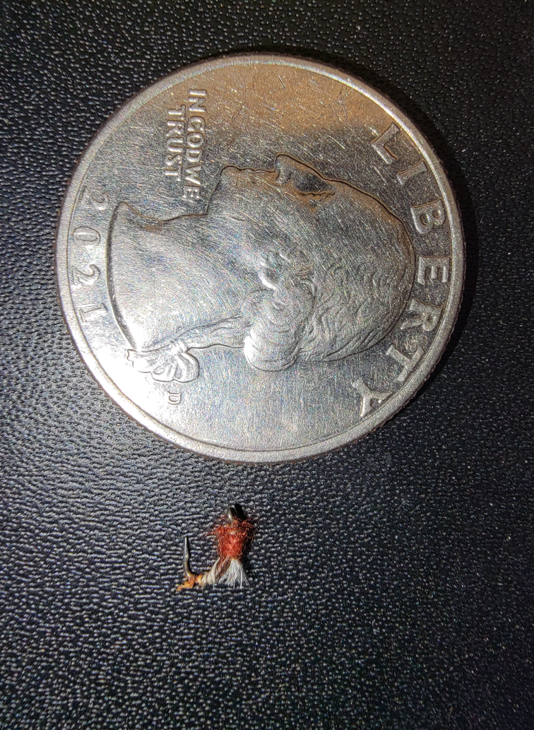 very small fly fishing lure in scale to a quarter
