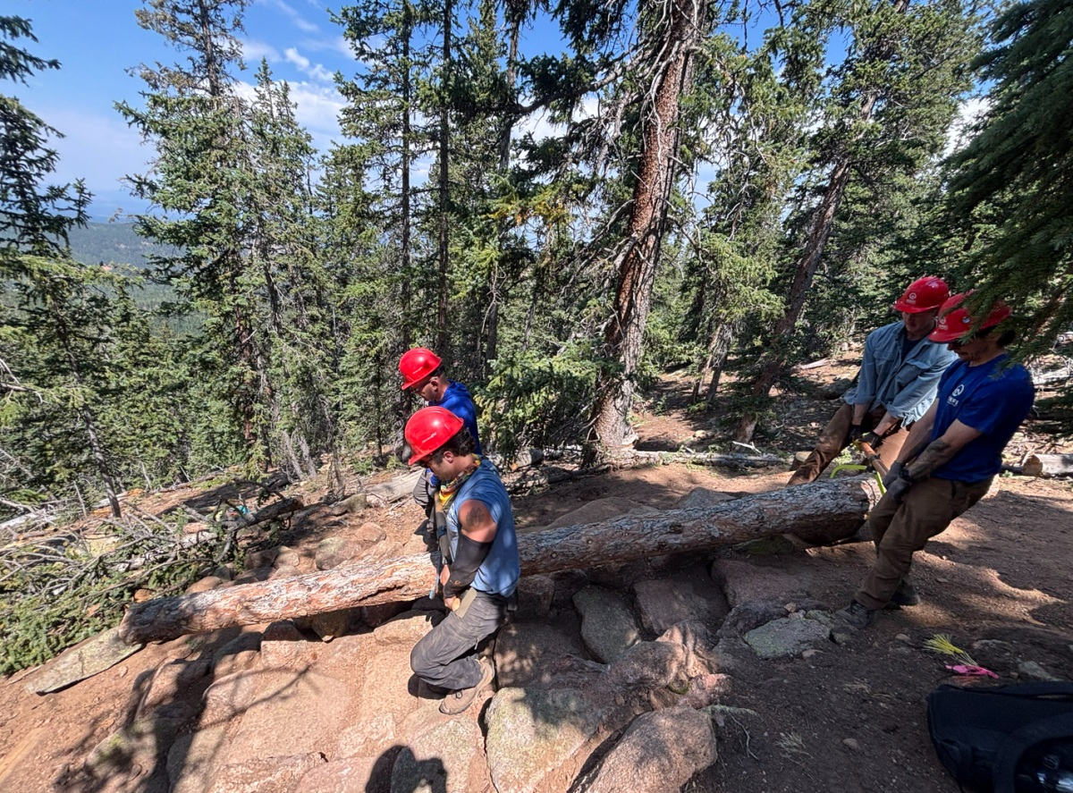 log carry 2026 devils