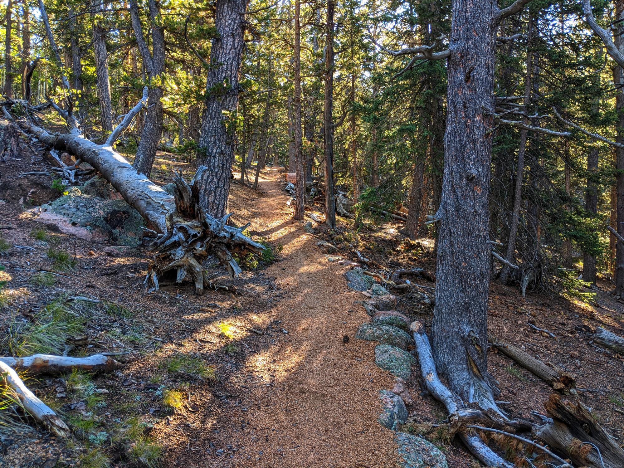 Devils Playground Trail